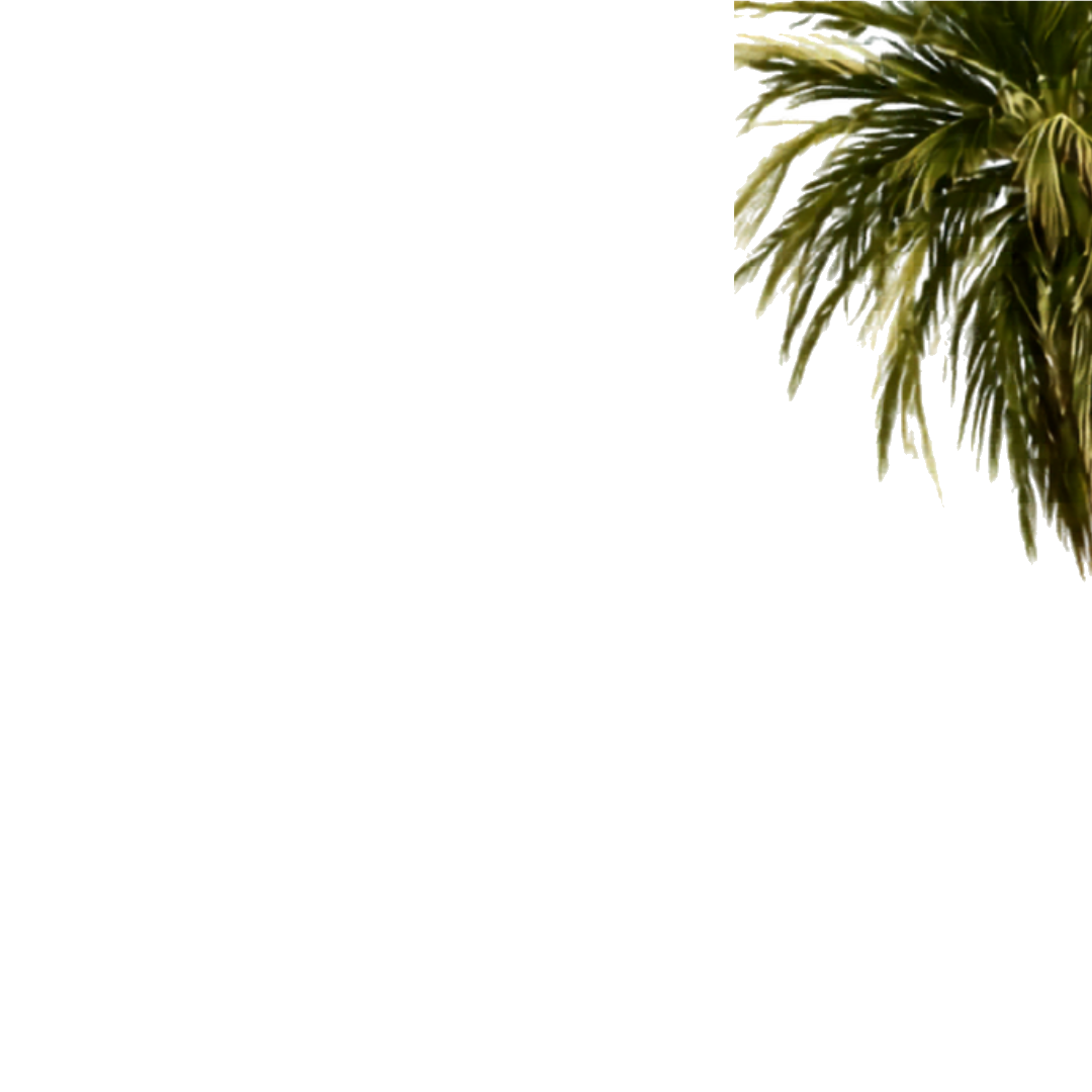 palm leaf decoration